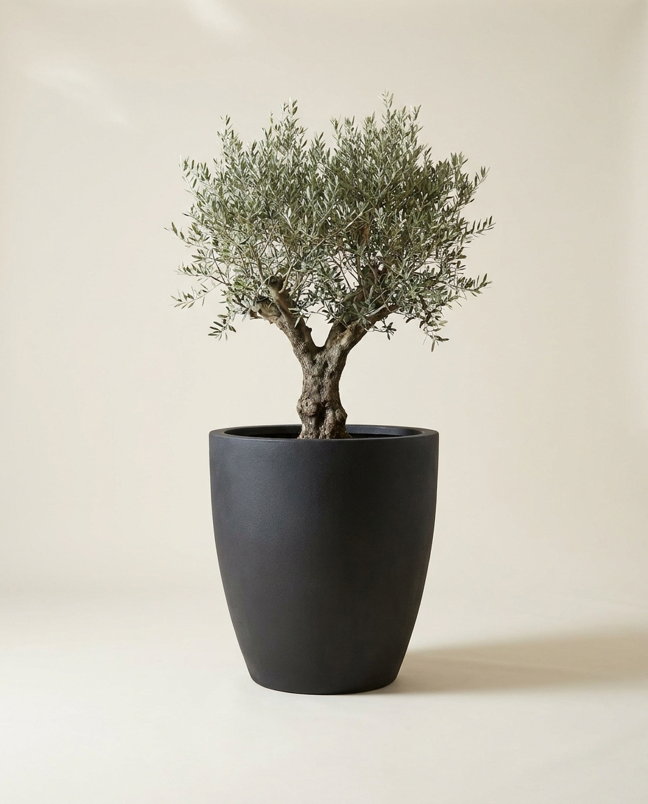 Giant tapered jar planter