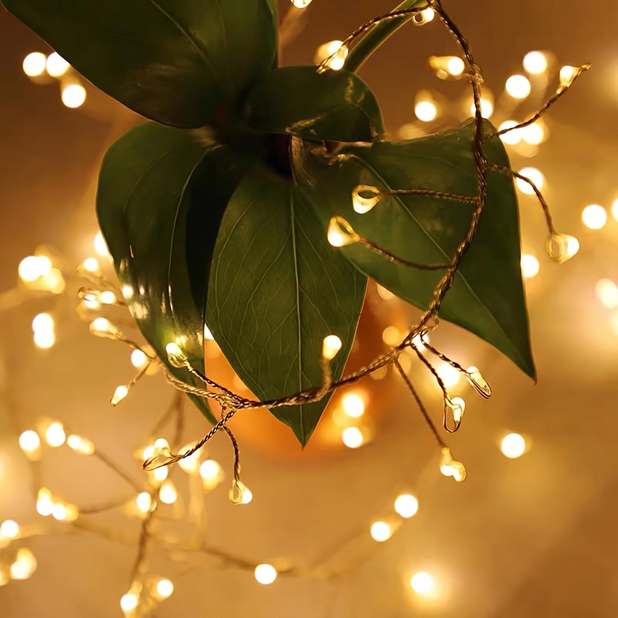 Guirlande cluster LedTwine multicolore en rideau