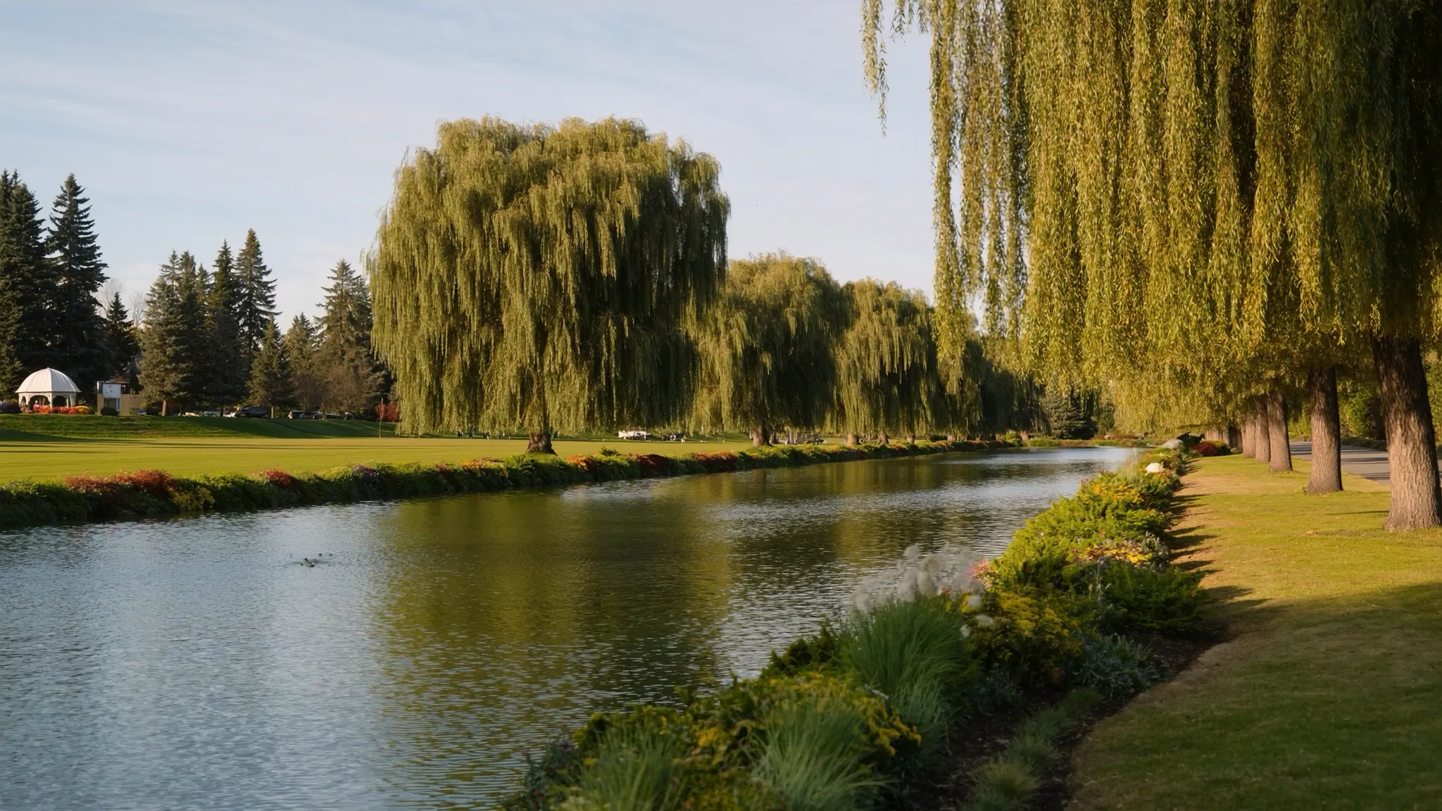 Serene pond and walking paths in an established Richmond Hill neighbourhood park