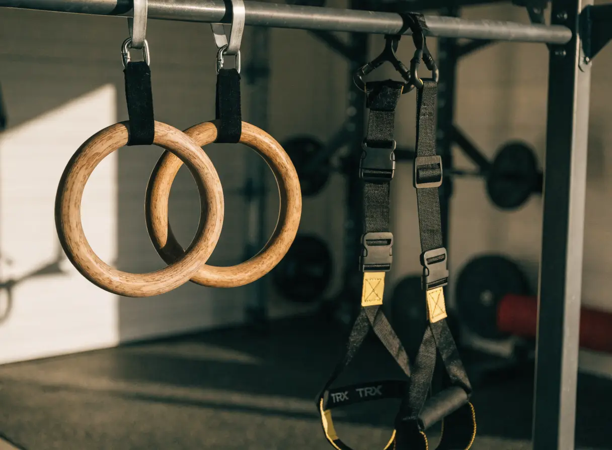 Gymnastics rings and TRX comparison
