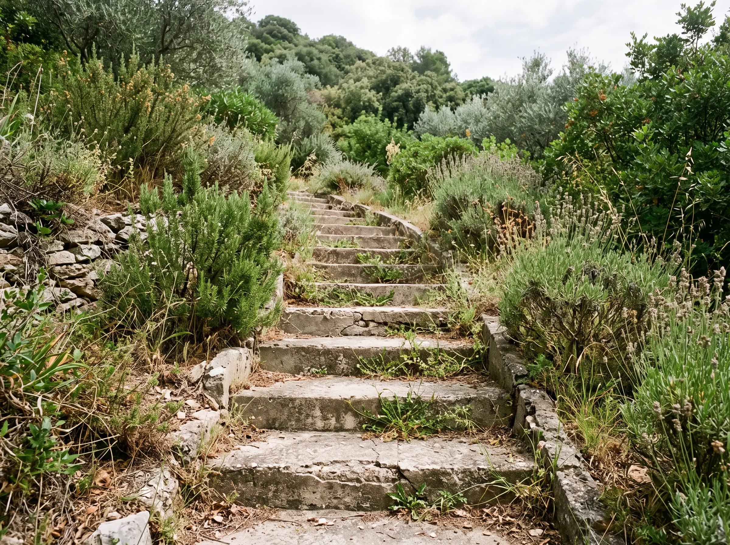 Avant : escalier de jardin en béton fissuré