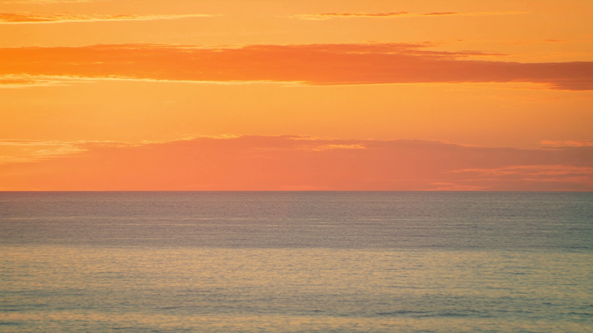Six Baja California Sur Towns Compared: Which One Actually Fits Your Life?