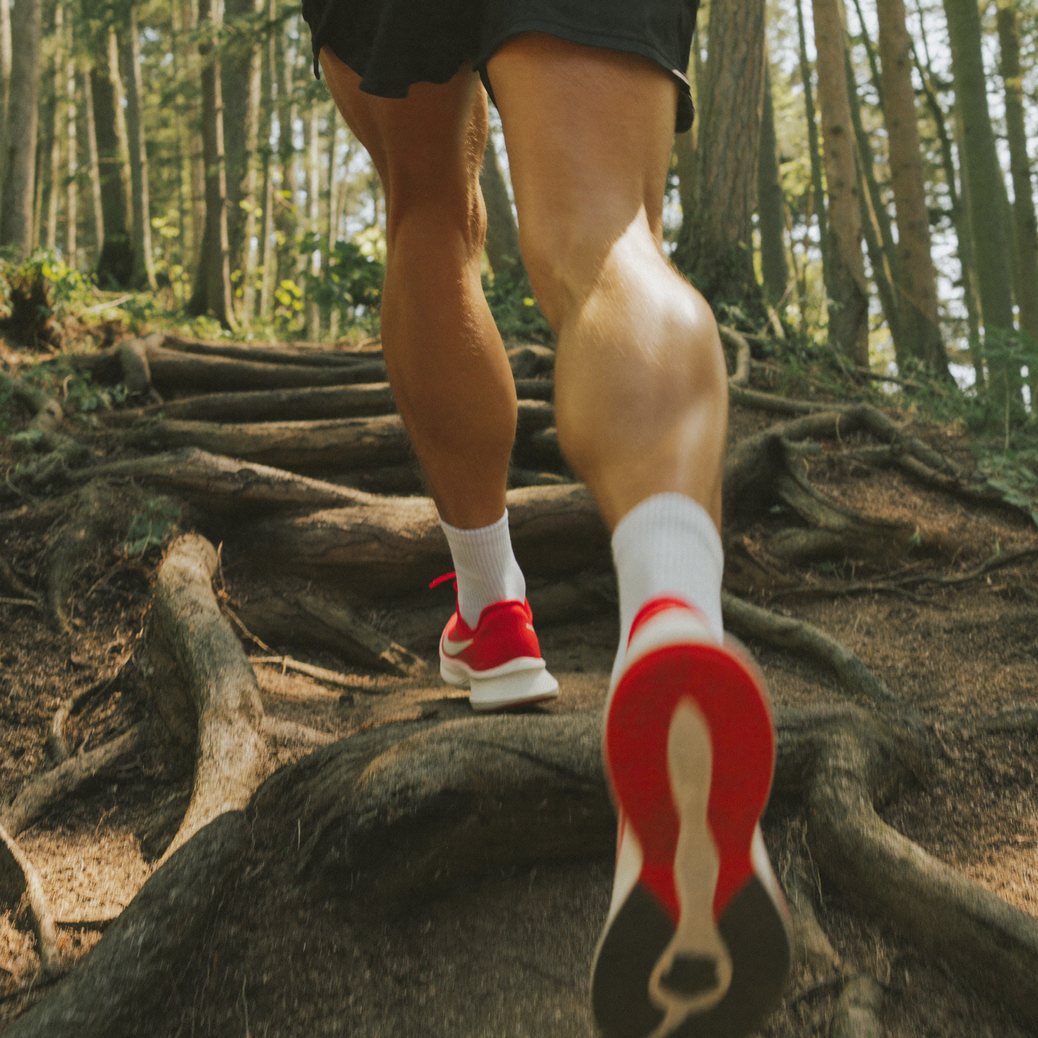 Coureur en trail en forêt