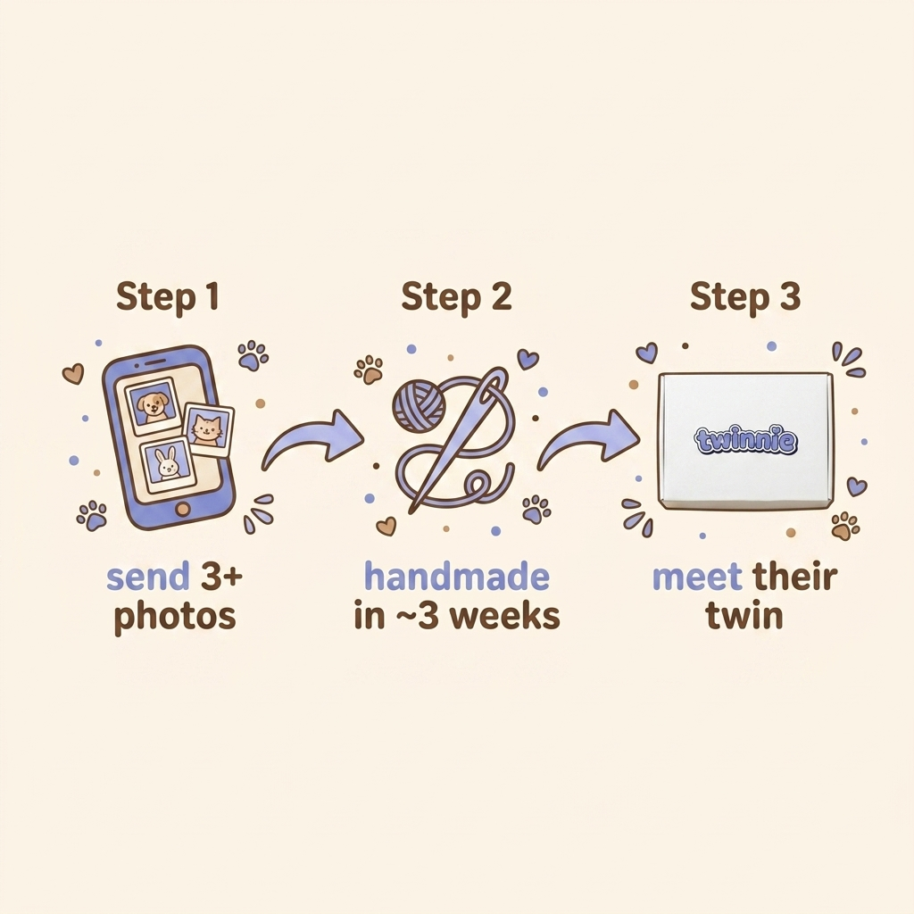 How Twinnie works: send 3+ photos, handmade in 3 weeks, meet their twin