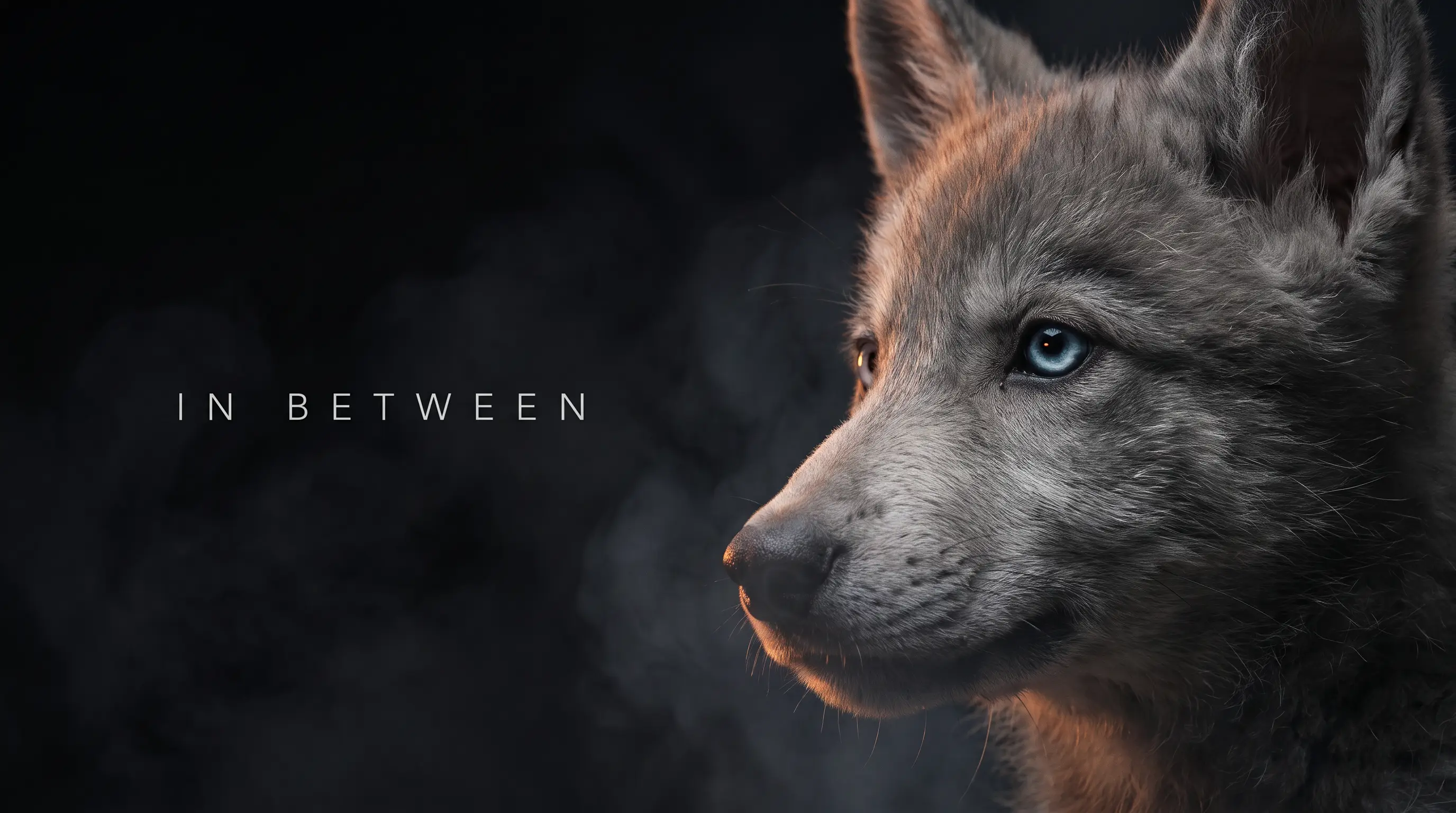 IN BETWEEN