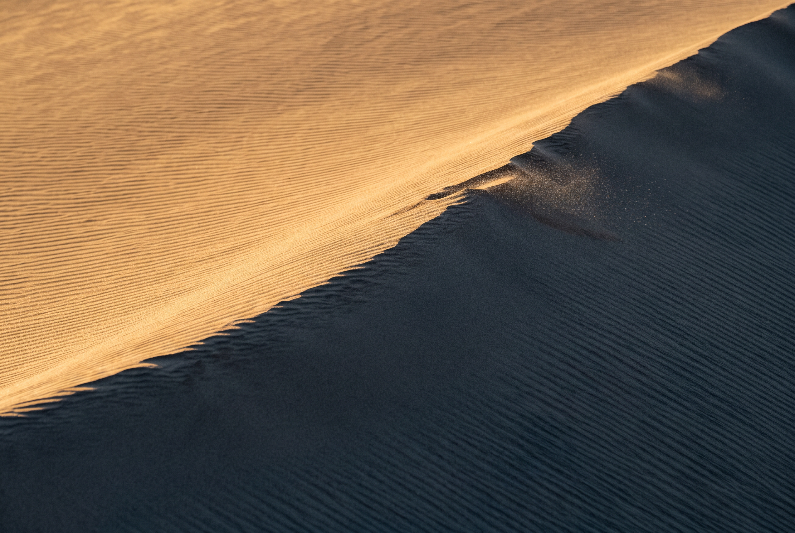 The ridge line of a sand dune at golden hour, reduced to abstraction