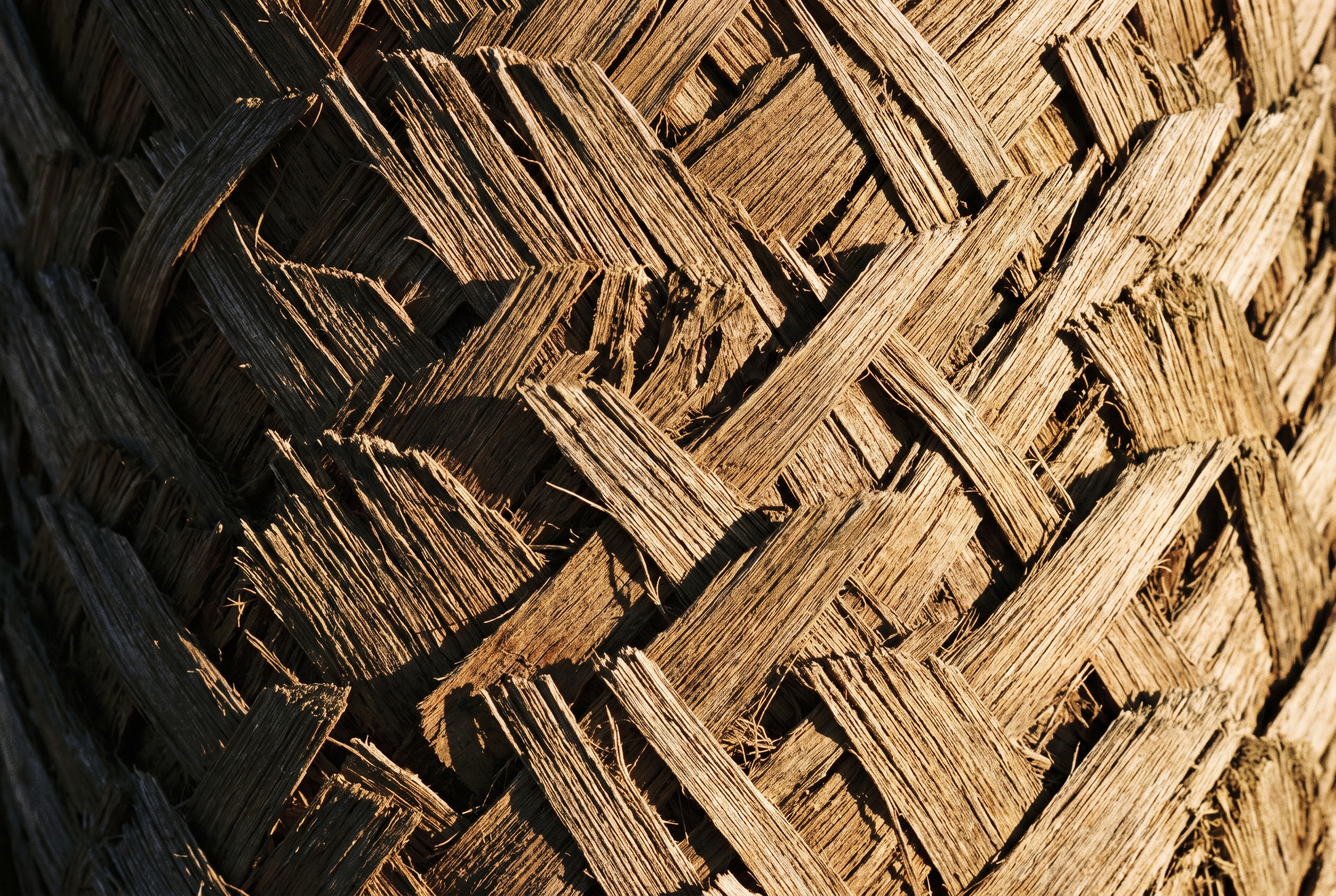 Macro of the fibrous diamond-patterned bark of a date palm trunk