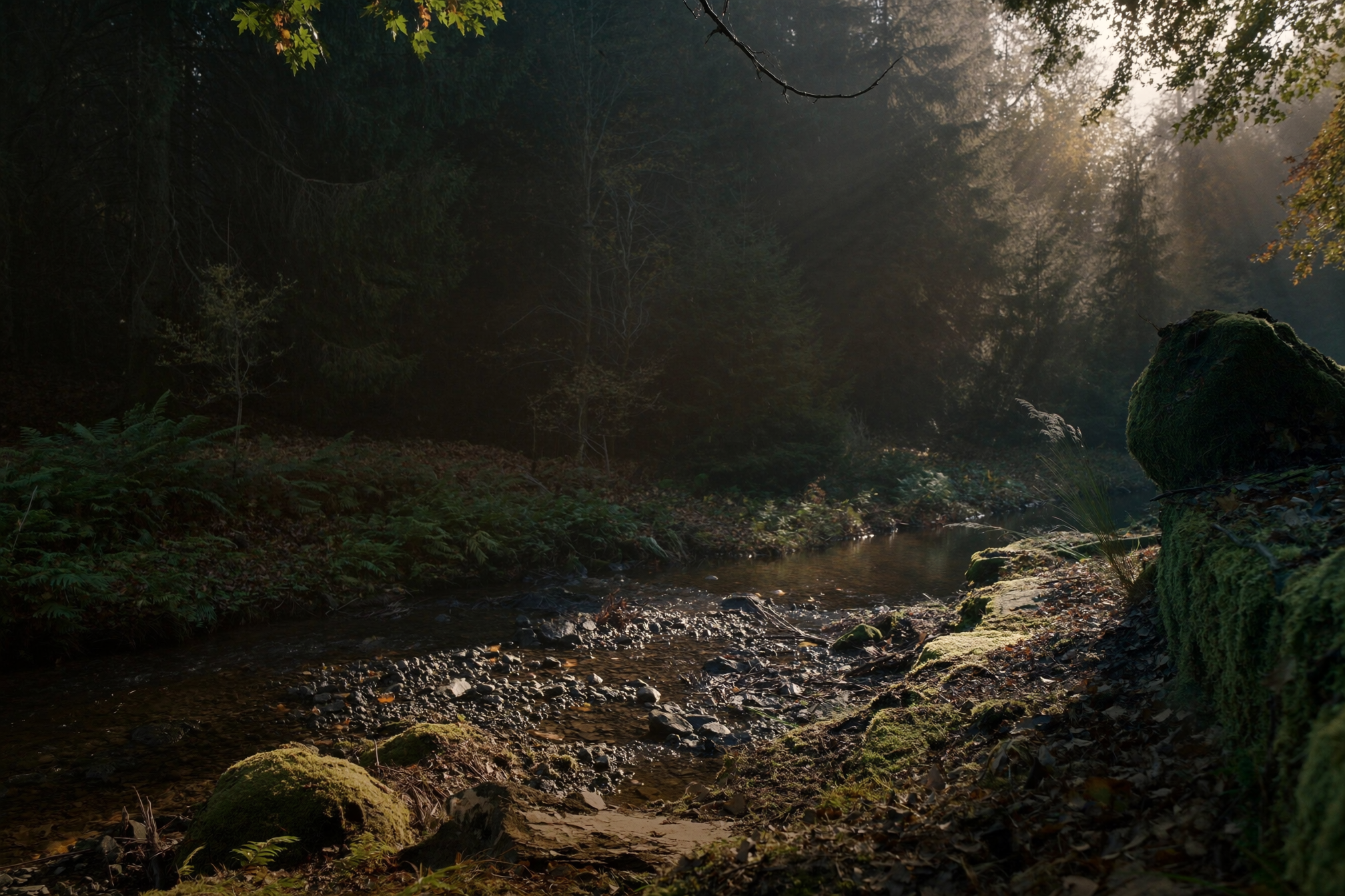 Kleiner Bach im Schwarzwald mit moosbewachsenen Steinen im Sonnenlicht