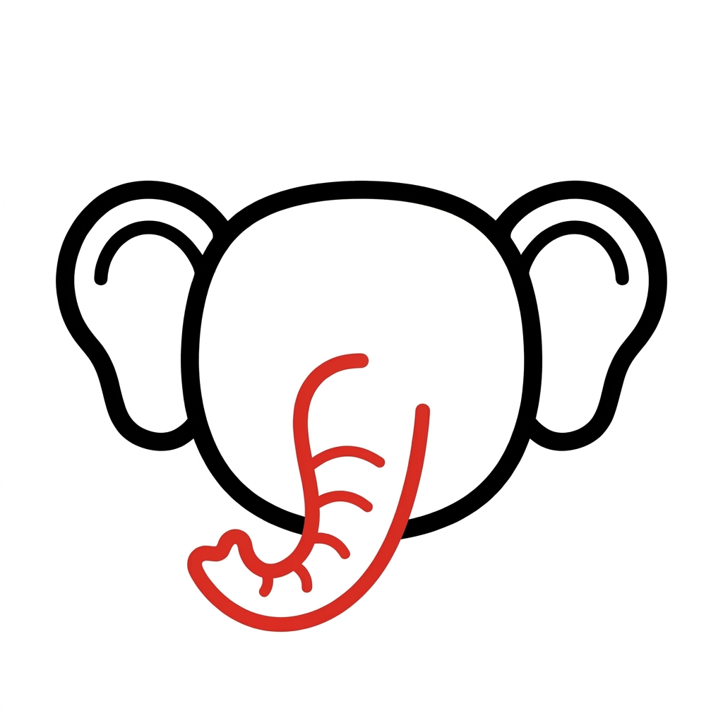 How to draw a elephant step 3 of 6 โ draw the trunk โ easy step by step elephant drawing tutorial for kids