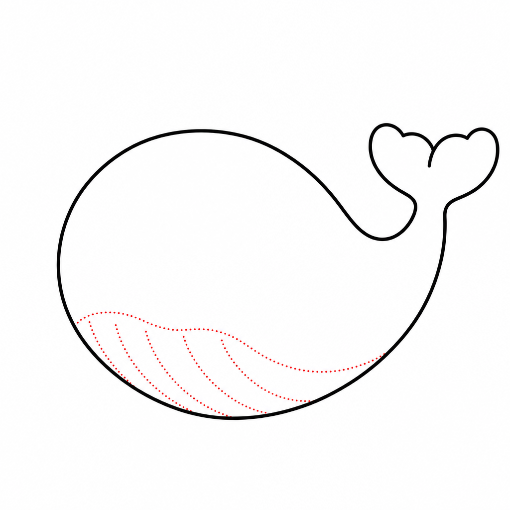 How to draw a whale step 2 — belly line with curved stripes