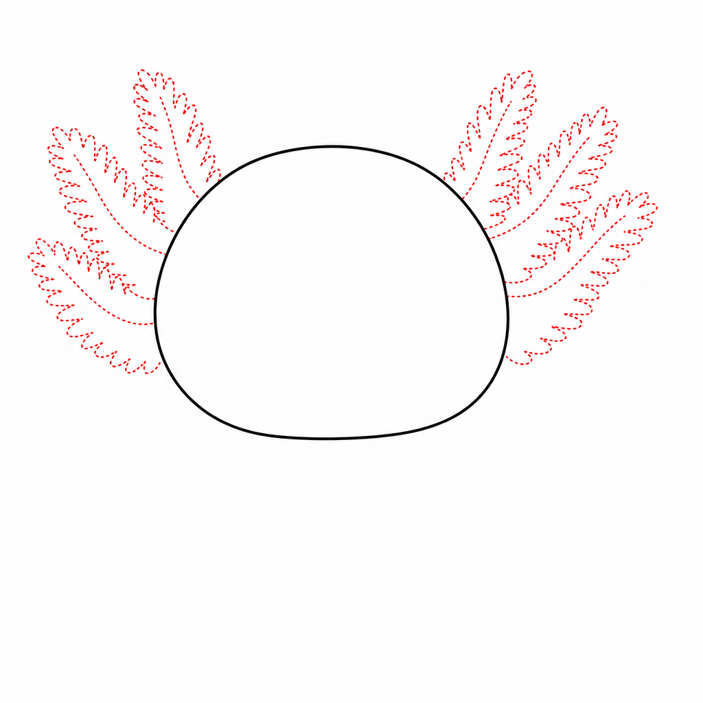 How to draw an axolotl step 2 — three feathery gill branches on each side of the head