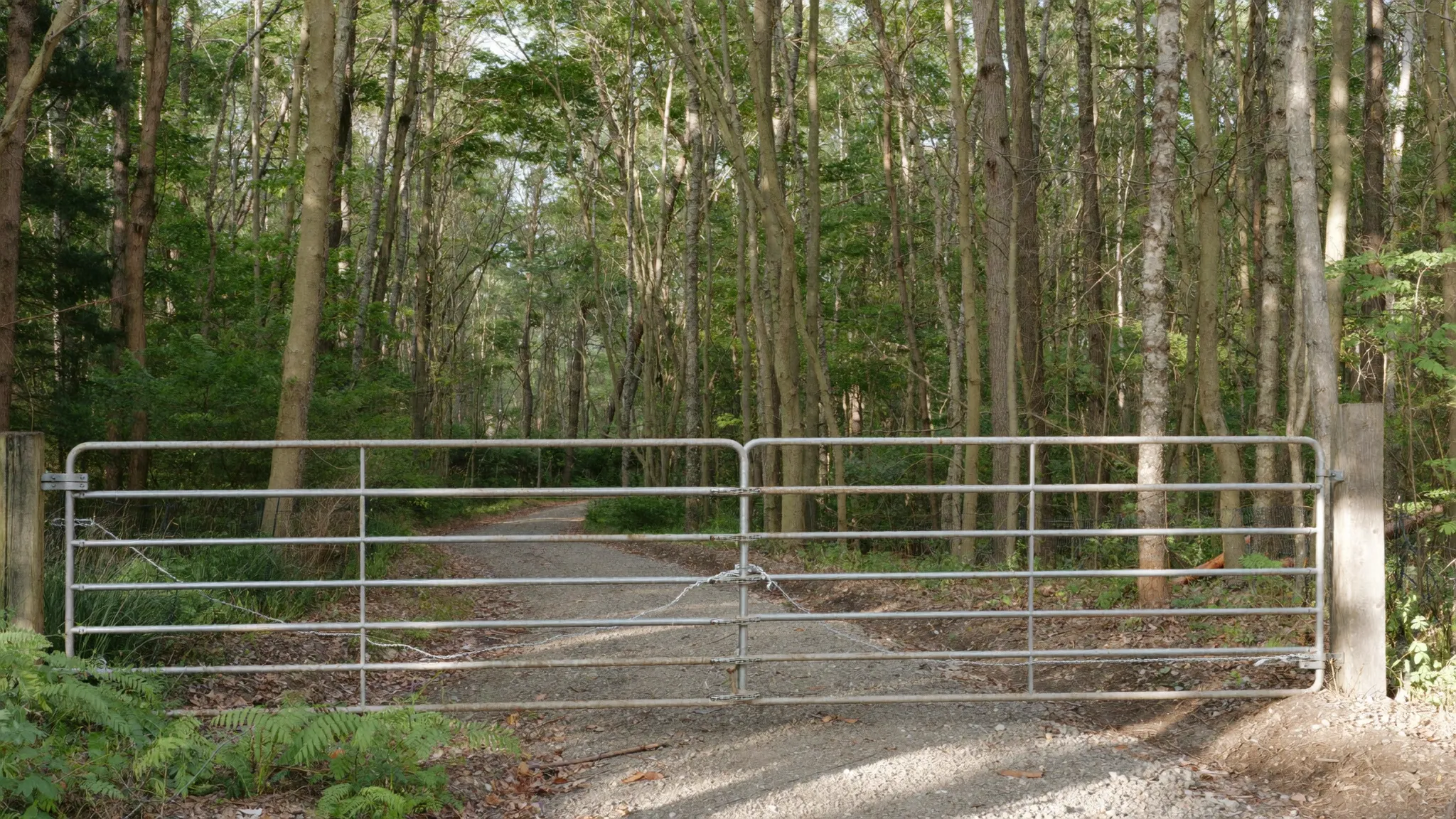 A locked gate across a gravel lane on Pennsylvania hunting club land