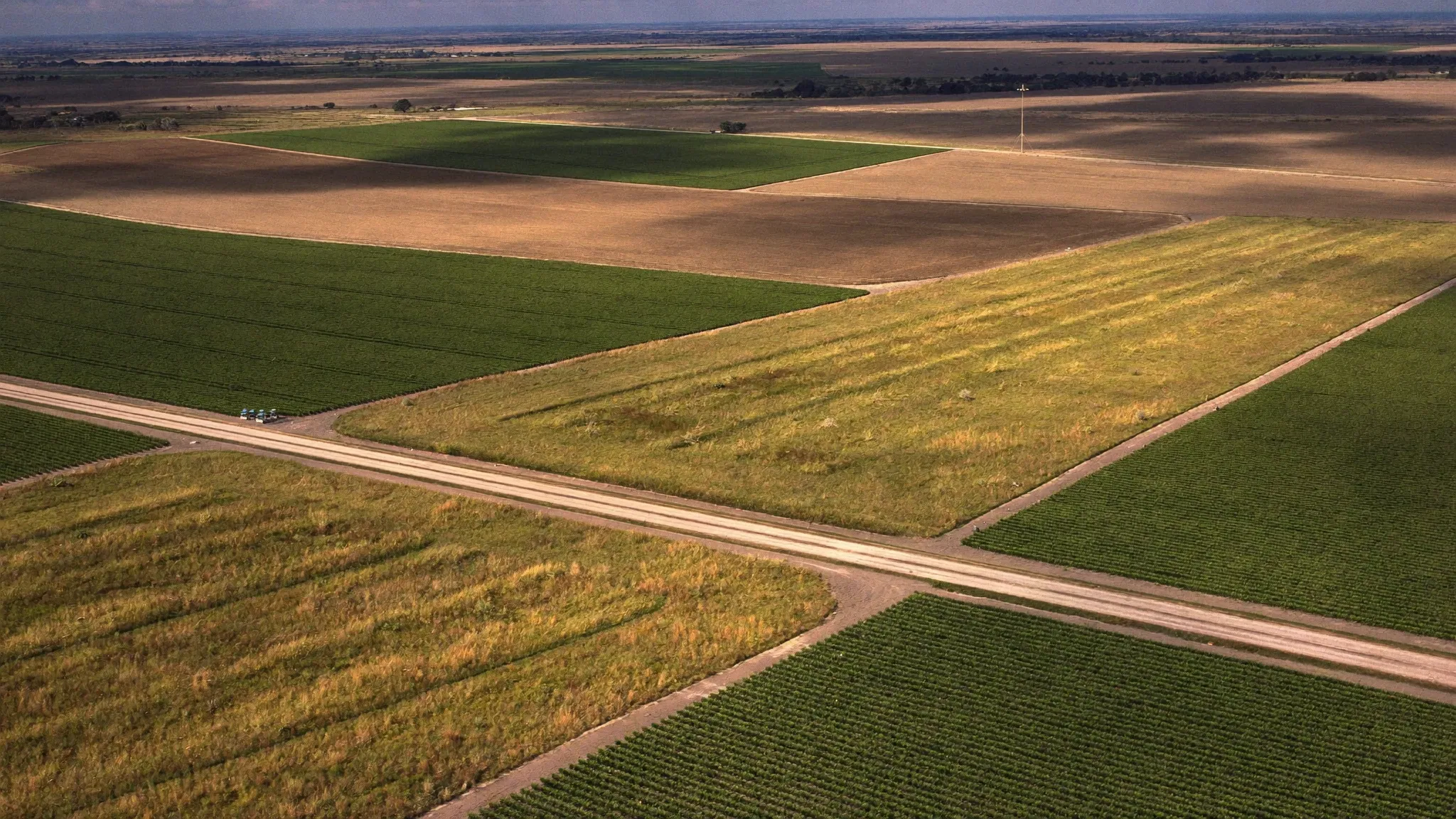 Aerial view of conservation grassland strips between row-crop fields