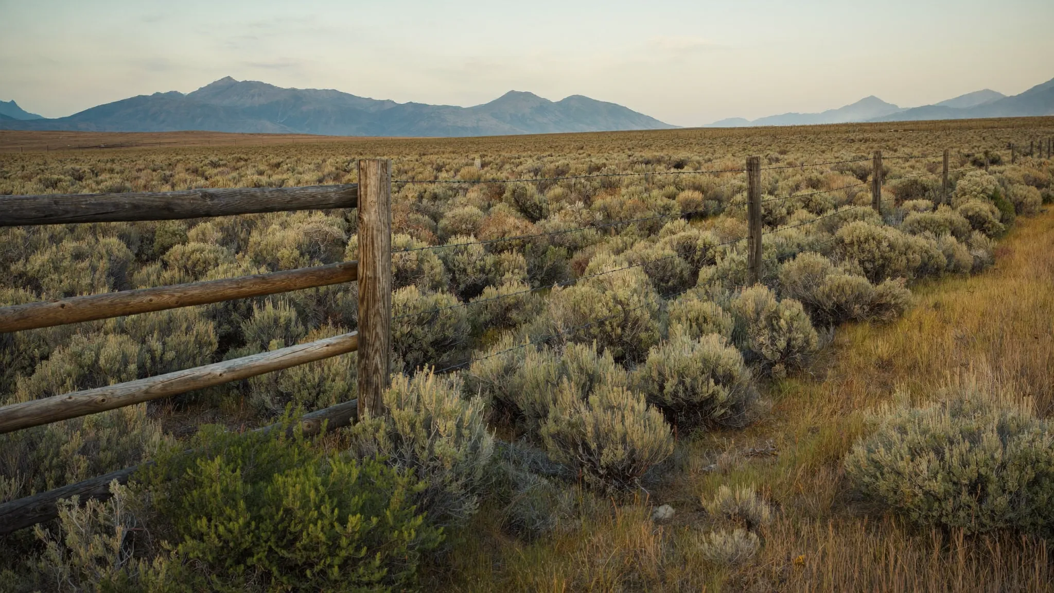 Two barbed wire fence lines meeting at a corner post in open sagebrush country