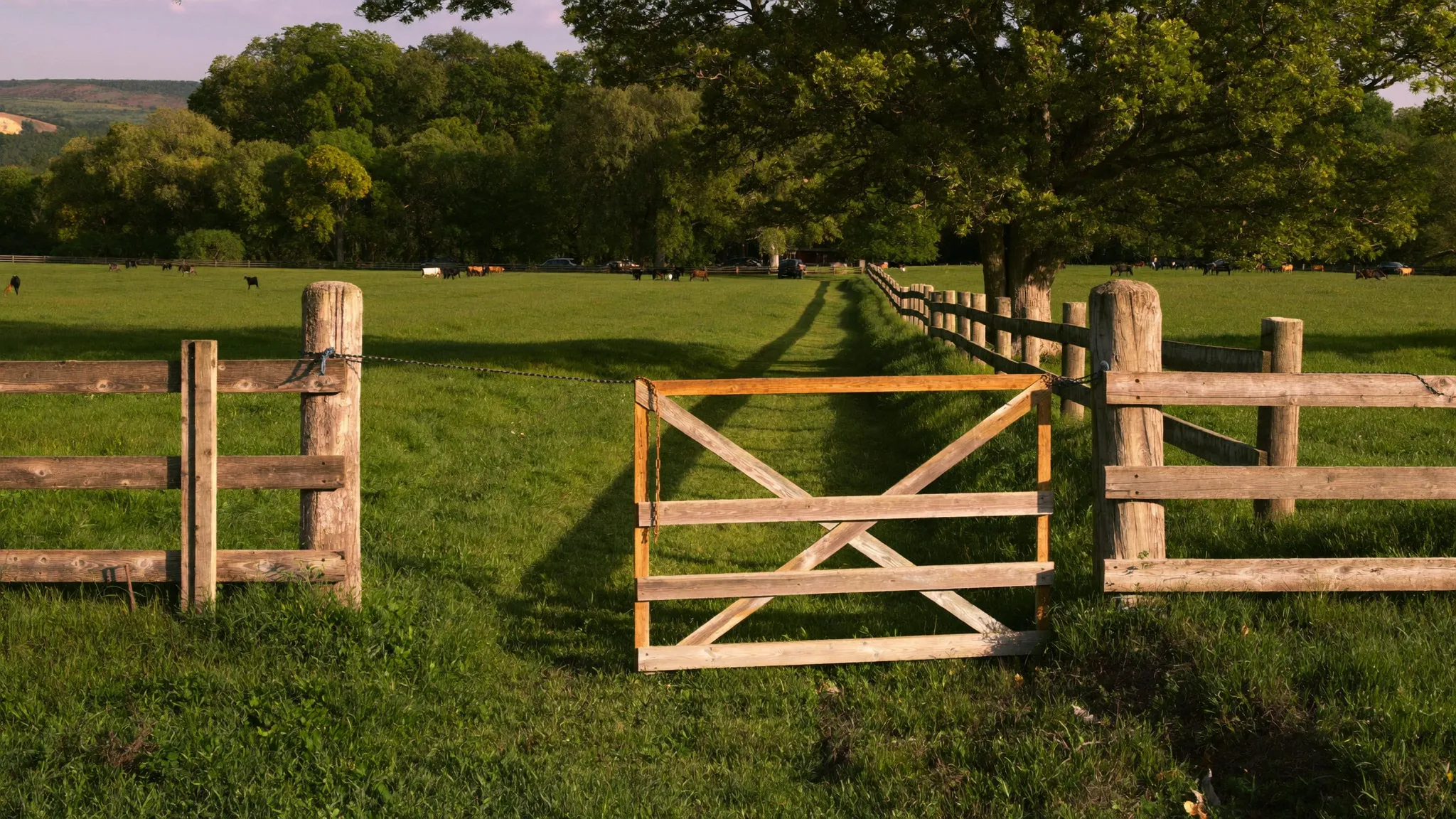 A chained wooden farm gate across a grass lane into a cattle pasture