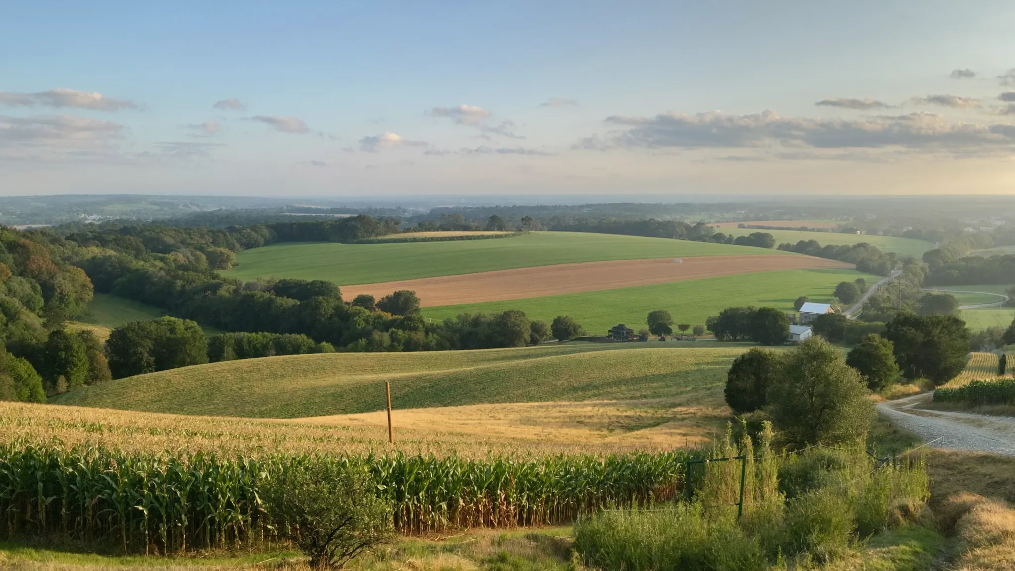Late August farm country from a low hill at golden hour, corn near maturity beside a cut hay field and woodlots