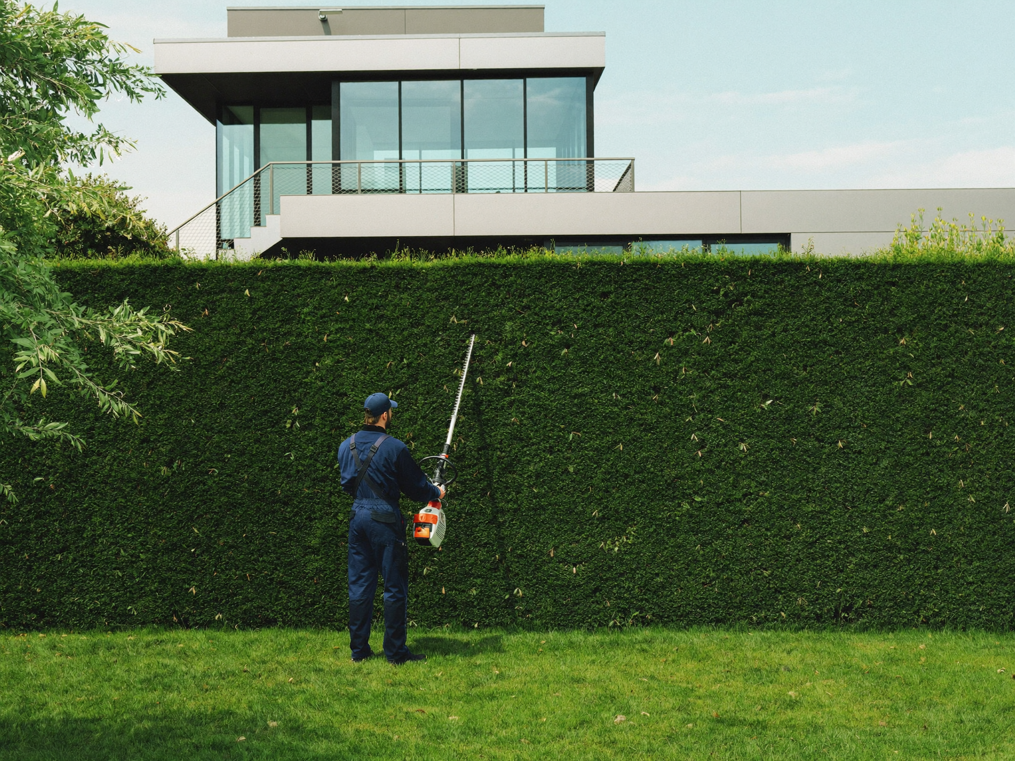 Gärtner schneidet eine Hecke