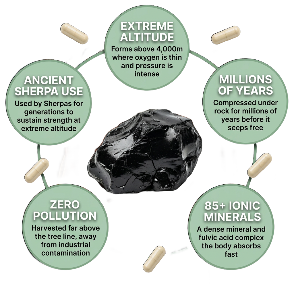 Why Himalayan Shilajit forms only at extreme altitude
