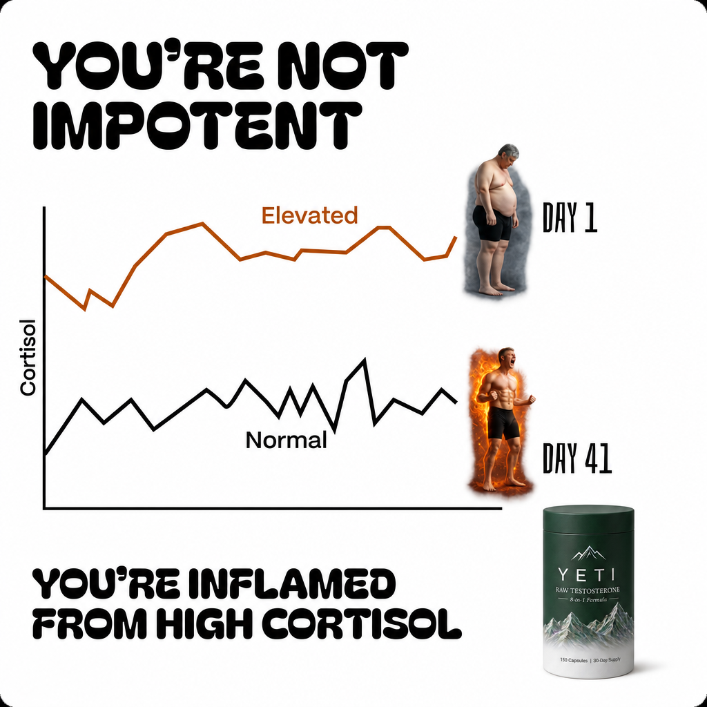 Réinitialisation du cortisol — Yeti