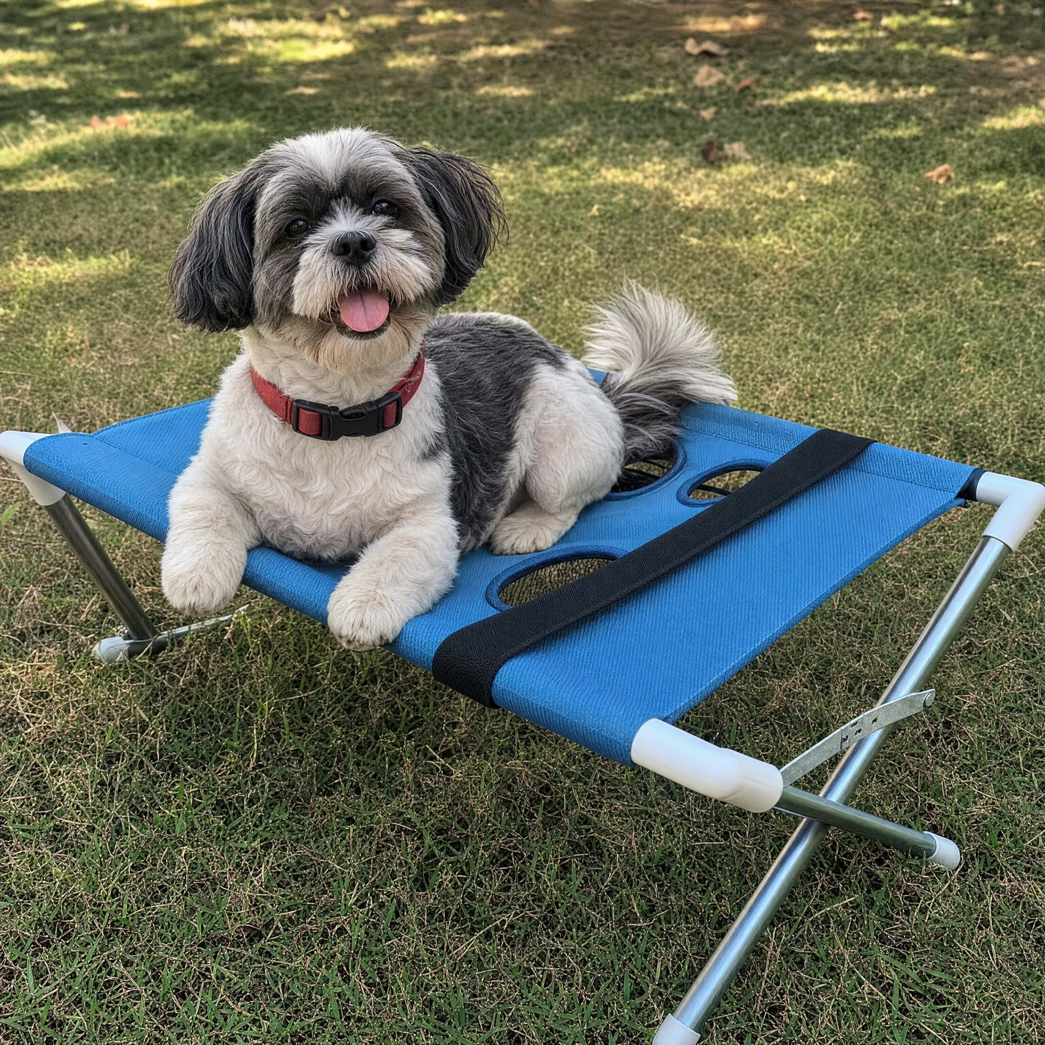 Shih Tzu resting on the PawSpa grooming hammock outdoors