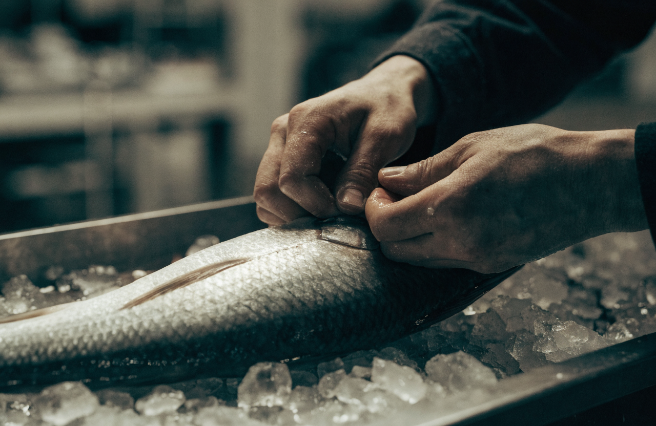A escolha do peixe