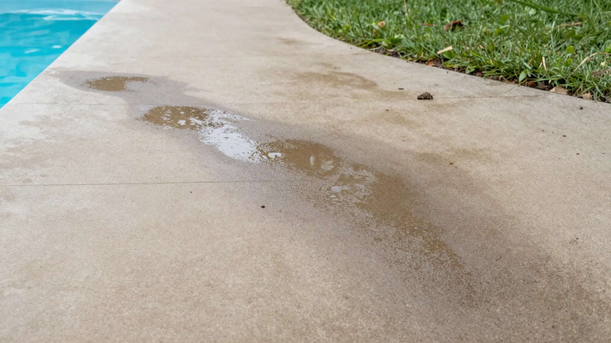 a persistent wet spot on the deck beside a backyard pool, a common sign of a pool leak