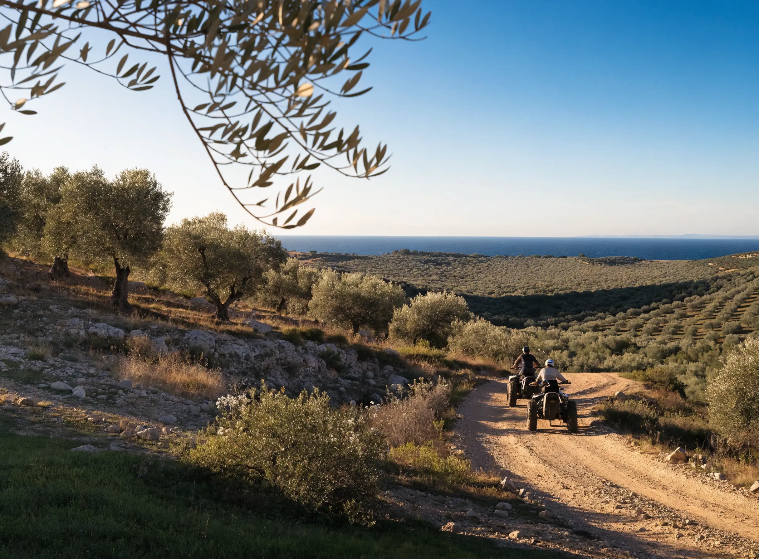 Two riders on quad bikes on an open off-road track