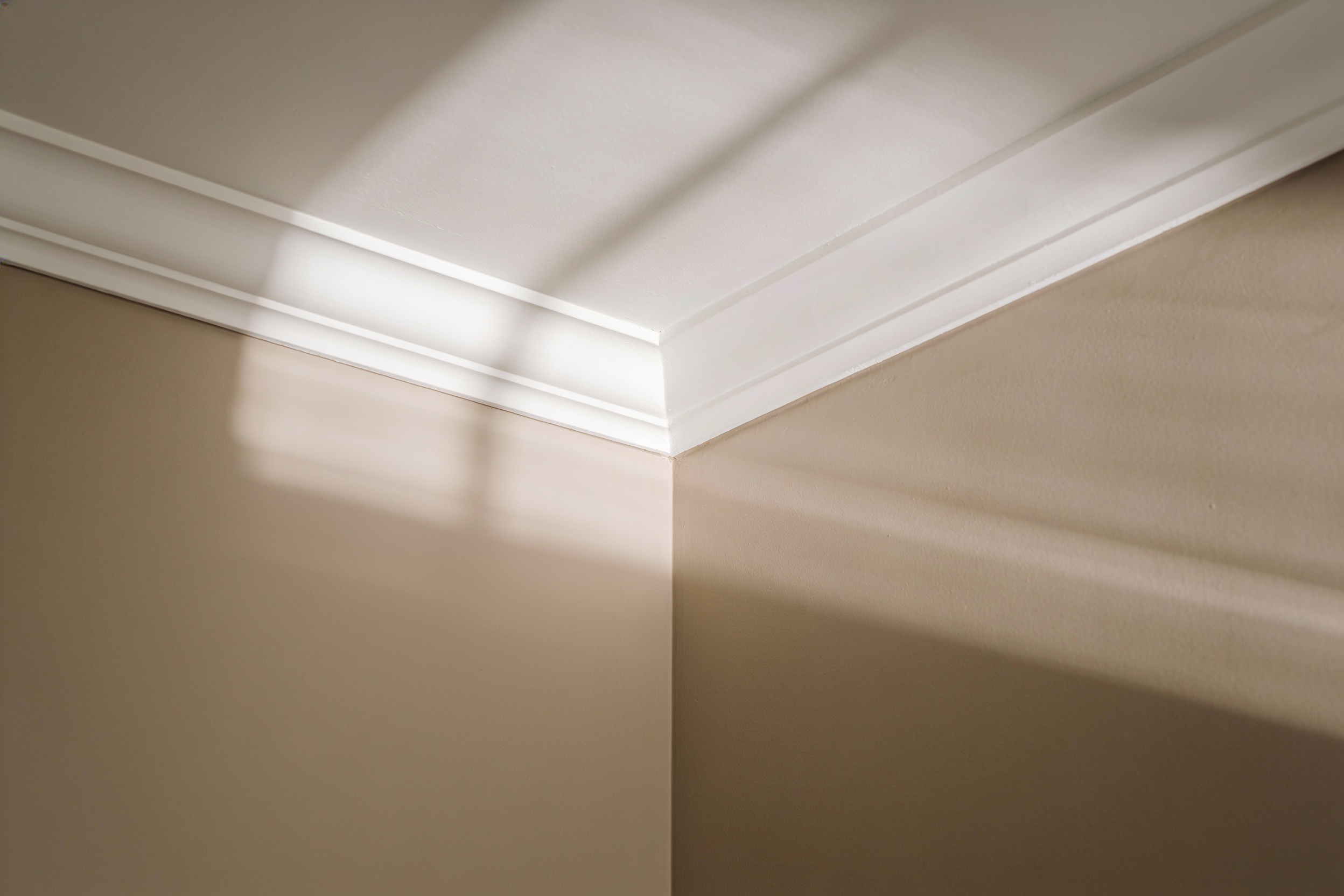 Sharp cut-in line where a freshly painted wall meets white ceiling and trim