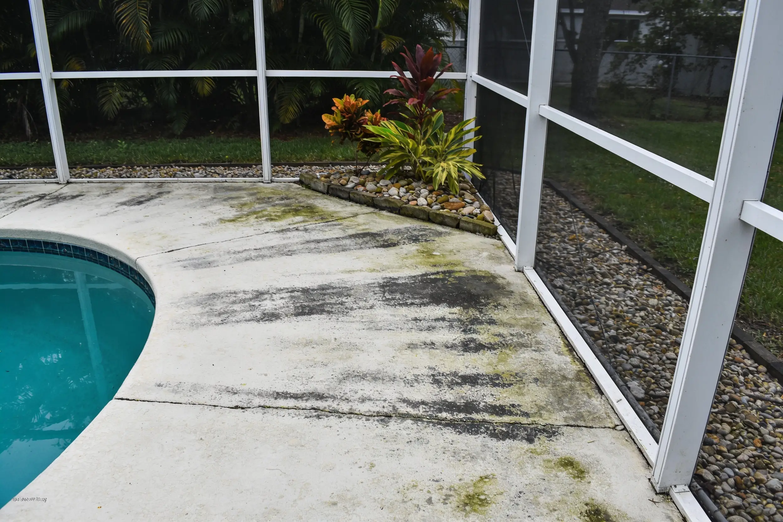 Pool deck concrete stained with mildew
