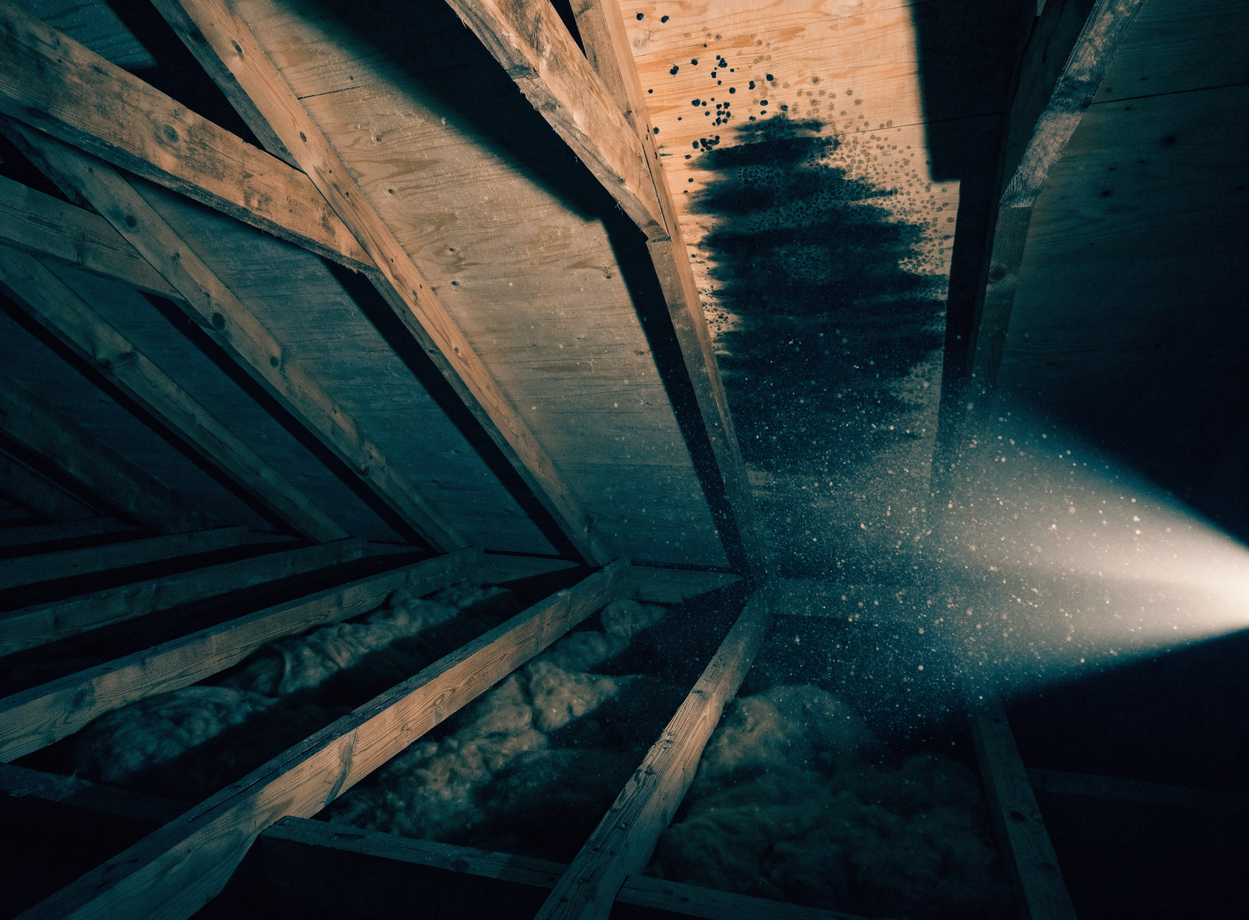 Dark attic interior with a spreading damp water stain and early mold on the sheathing, cut by a flashlight beam