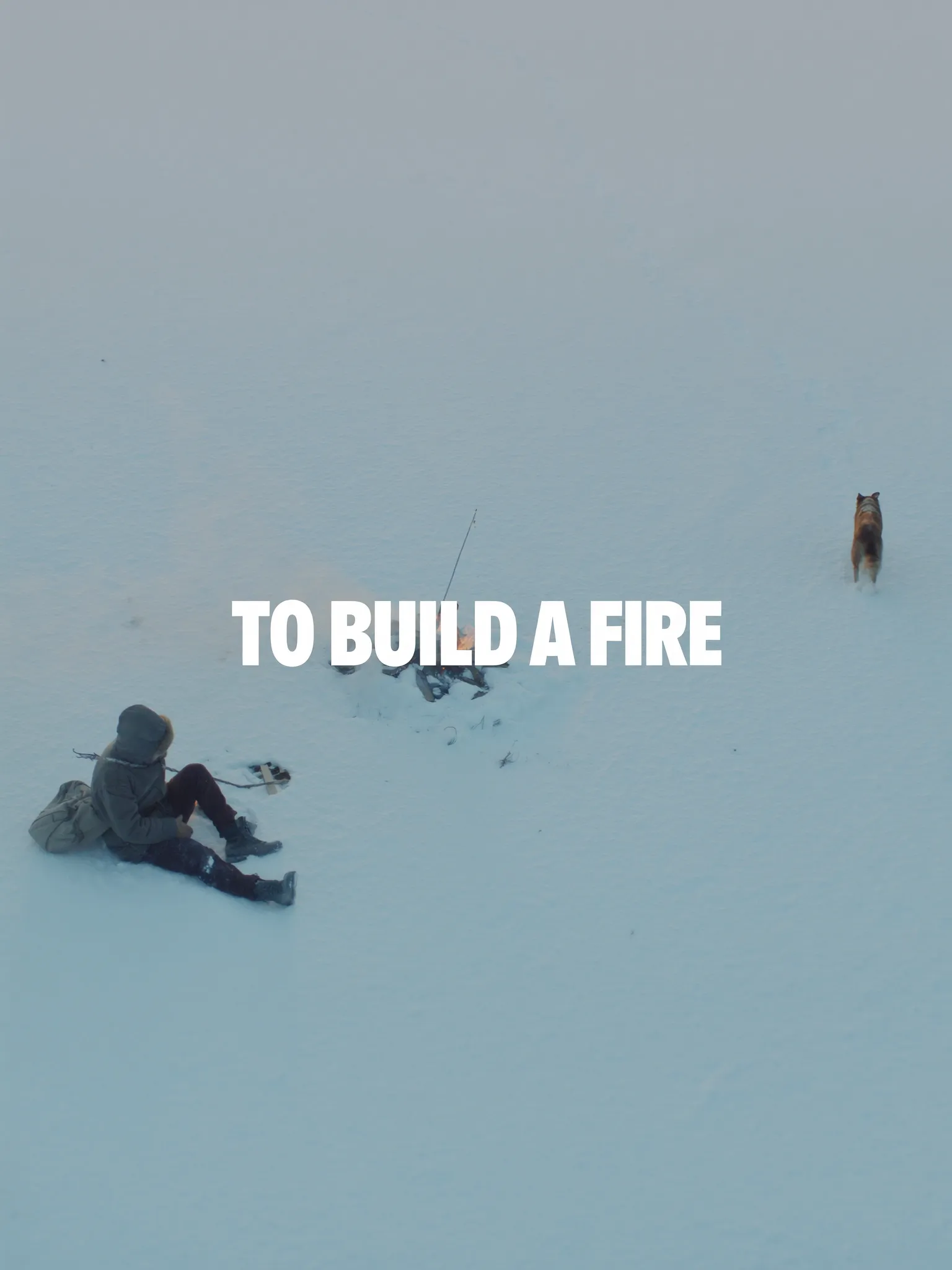 To Build a Fire